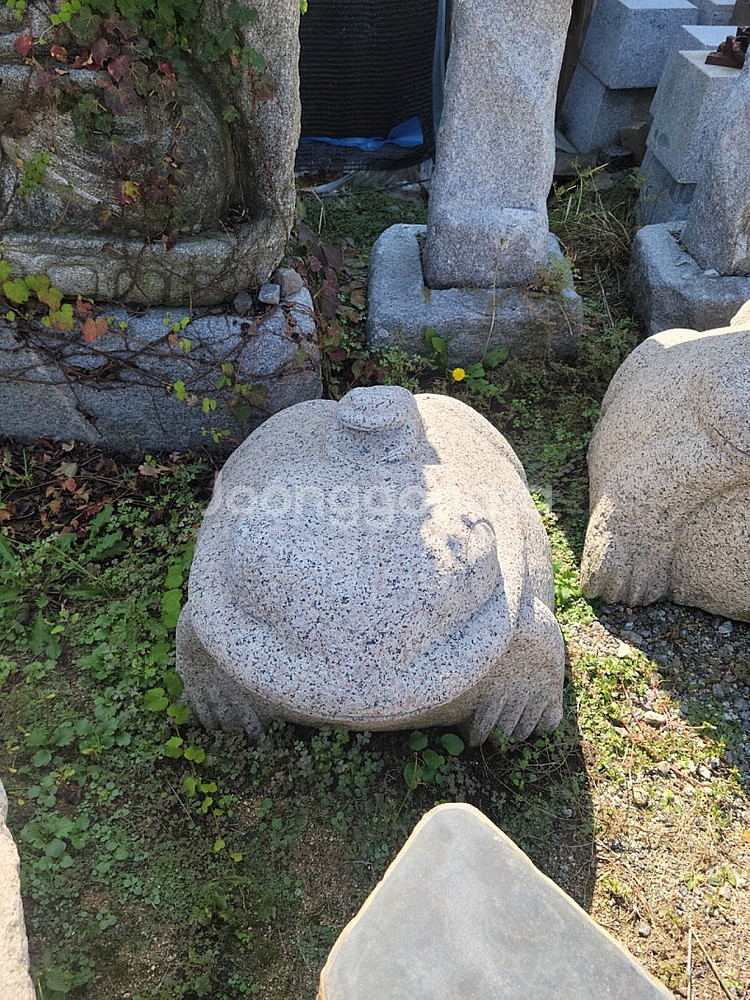 대형 돌두꺼비--2