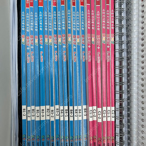 소마 레이 B, C단계