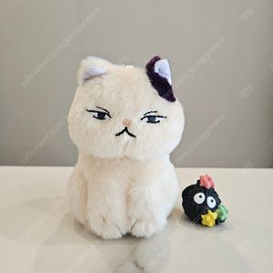 도토리숲 지브리 귀를기울이면 문 고양이 인형