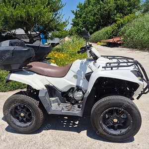 대만제 adly600 대만 ATV 4륜 사륜구동 4륜구동 4x4 사발이 네발오토바이 600cc
