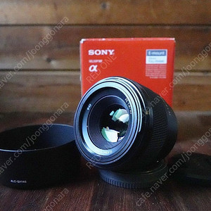 소니 SONY FE 50MM F1.8 / SEL50F18F