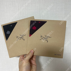 아크테릭스 스카프