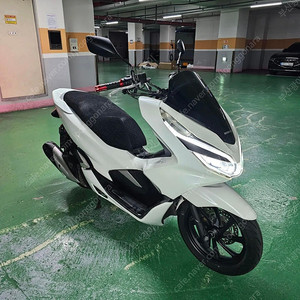 부산 더 뉴 PCX 125 화이트 19년식 판매합니다! (32000km,경정비 완료)
