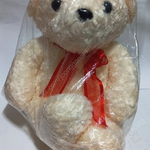 [새상품/택포] 곰인형 팔아요