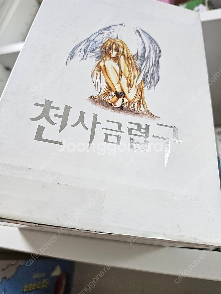 19+) 천사금렵구 1~20 박스판--1