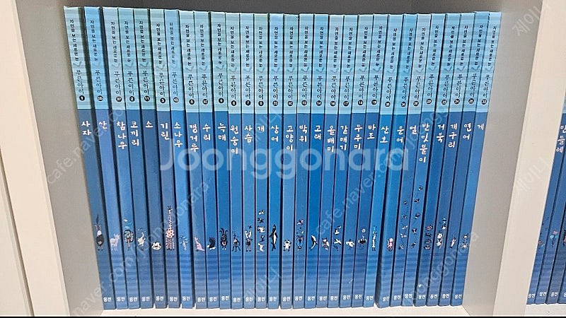 웅진 자연관찰 책 전집 푸른아이 새책수준 59권--1