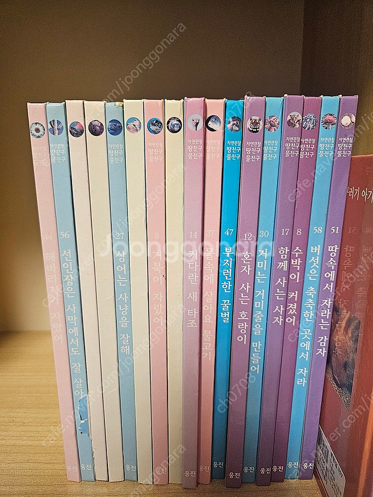 웅진 땅친구 물친구 58권 별책 4권--1