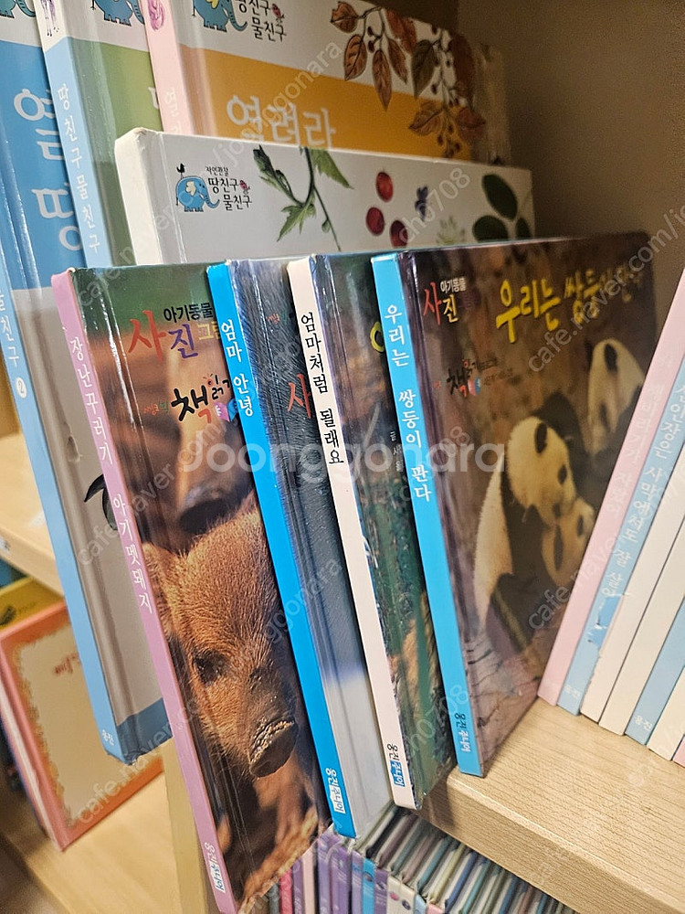 웅진 땅친구 물친구 58권 별책 4권--3