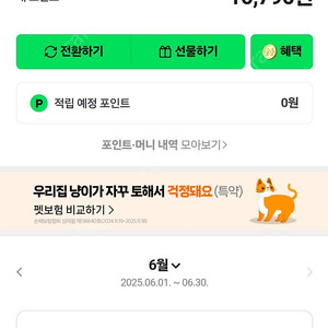 네이버페이 10790포인트 1만원에 팝니다