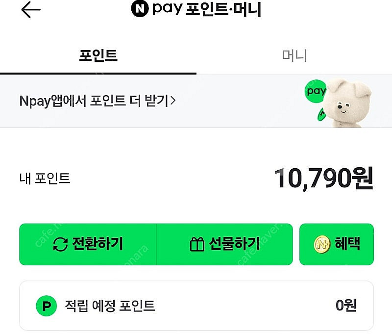 네이버페이 10790 포인트 9900원에 팝니다--0