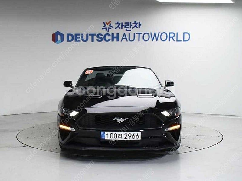 포드 머스탱 중고 머스탱 중고차 2019년식 42,32...--3