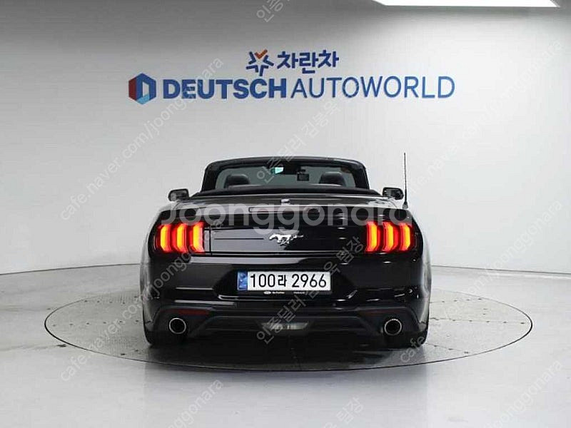 포드 머스탱 중고 머스탱 중고차 2019년식 42,32...--4