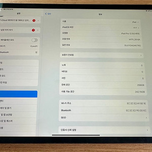 아이패드 프로 12.9 3세대 A12X 스페이스그레이 256GB