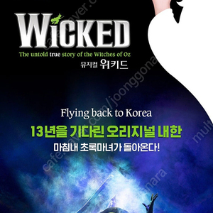 뮤지컬 위키드 VIP석 1층 2열 중앙블록 티켓 판매