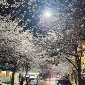 티맥스 순정 디스크 2개 한셋. 새것