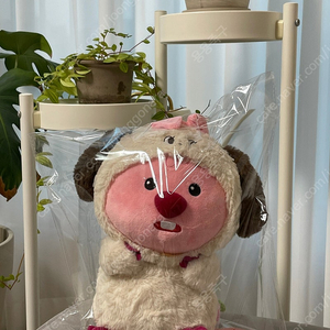 강아지 잔망루피 퍼피루피 옷루피 인형