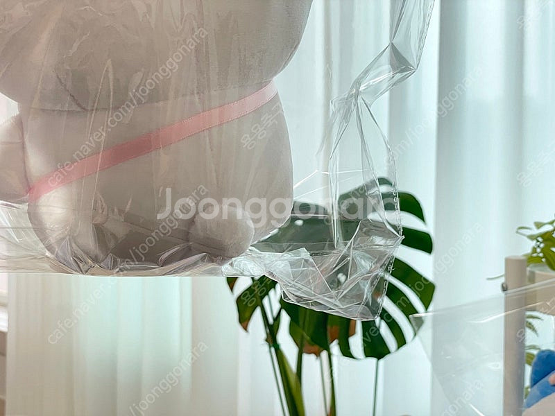 산리오x치이카와 먼작귀 콜라보 인형--2