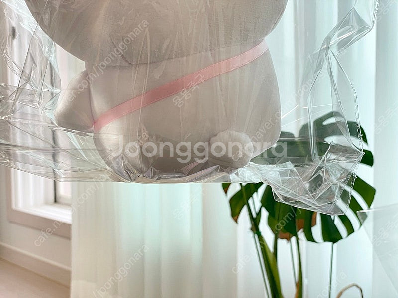 산리오x치이카와 먼작귀 콜라보 인형--3