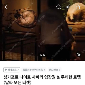 싱가포르 나이트사파리+트램 어린이(만3세~12세) 2매 팝니다!