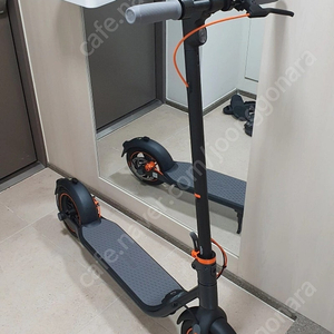 나인봇 f40 전동 킥보드