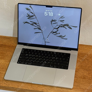 상태 좋은, 맥북프로 M1 pro 16인치 (실버) 판매합니다!