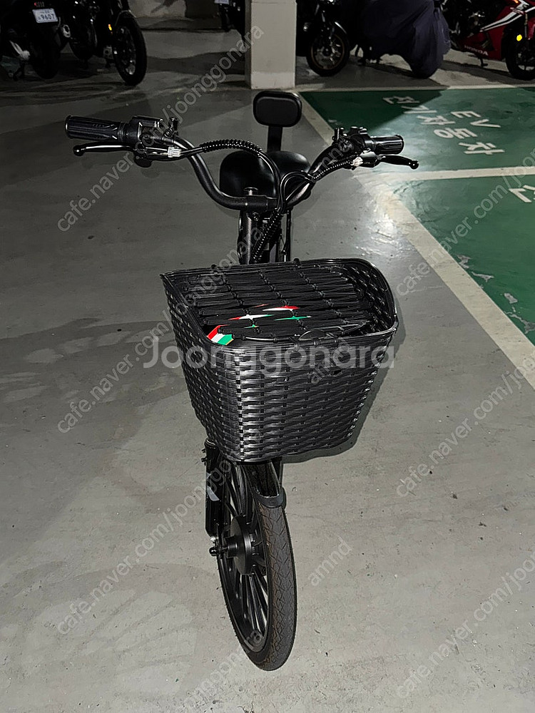 알톤 전기자전거--1