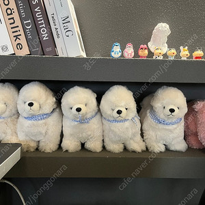 문상100장팜89퍼비율