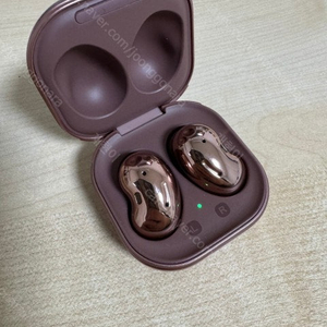 갤럭시 버즈 라이브 (미스틱 브론즈)