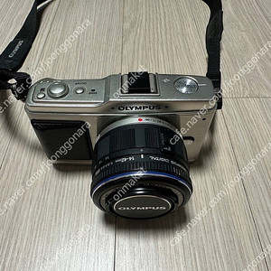 올림푸스 E-PL1 , E-P1 , 17mm , 파나소닉 GF1 입문용 미러리스 카메라 판매합니다.