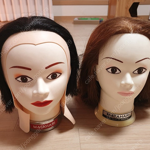 연습용 헤어 마네킹 2개 : 택포 4