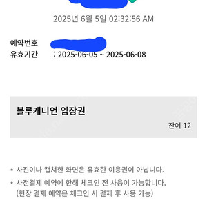 휘닉스파크 블루캐니언 6월 5일~8일 입장권 7장