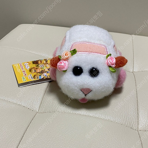 뿌이뿌이모루카 풀백카 웨딩모루카