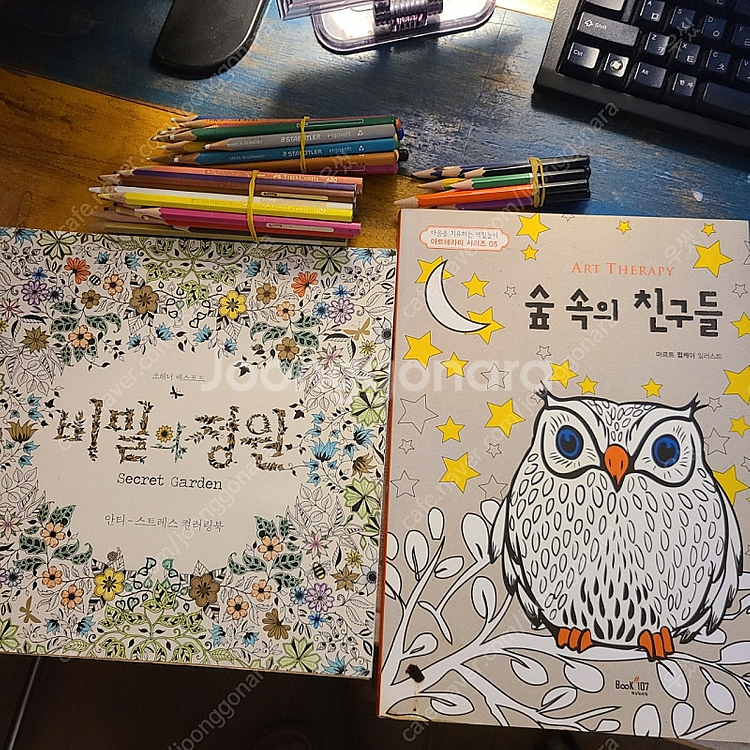 비밀의 정원, 숲속의 친구들 (색칠공부 책, 컬러링북)--0