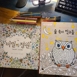 비밀의 정원, 숲속의 친구들 (색칠공부 책, 컬러링북)