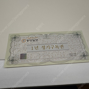 중앙일보 1년 정기구독권