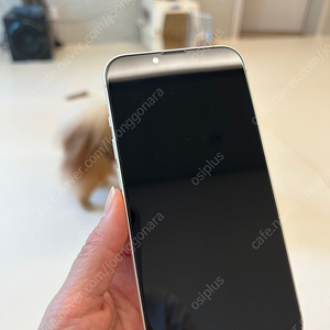 아이폰 14