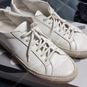 커먼 프로젝트 아킬레스 로우 팝니다