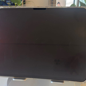 아이패드 프로 13인치 M4 256GB WI-FI 판매합니다.