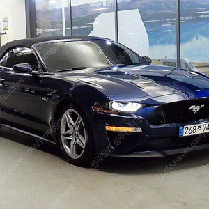 포드 머스탱 중고 머스탱 중고차 파란색 2019년식 51,011km GT 컨버터블 수원중고차