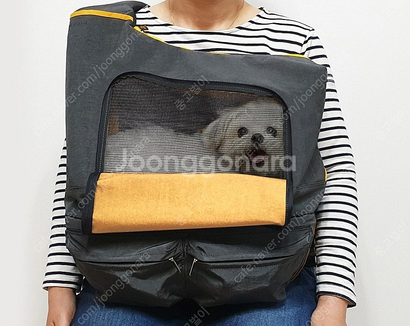 인사이드독 집중 케어백-반려동물 이동가방 그레이옐로우--0