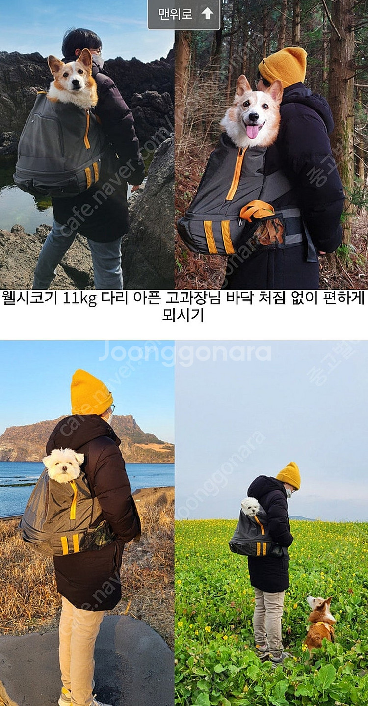 인사이드독 집중 케어백-반려동물 이동가방 그레이옐로우--2