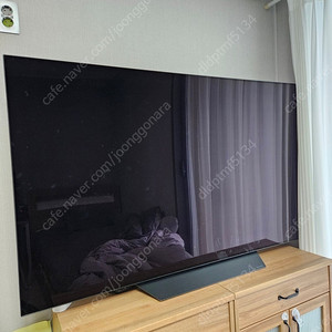 LG OLED 65인치 TV 판매합니다 (OLED65B8P)