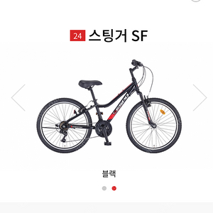 삼천리 스팅거 24인치