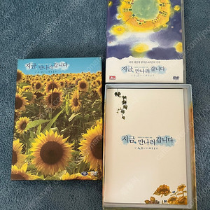 일본영화 지금만나러갑니다 DVD 판매합니다