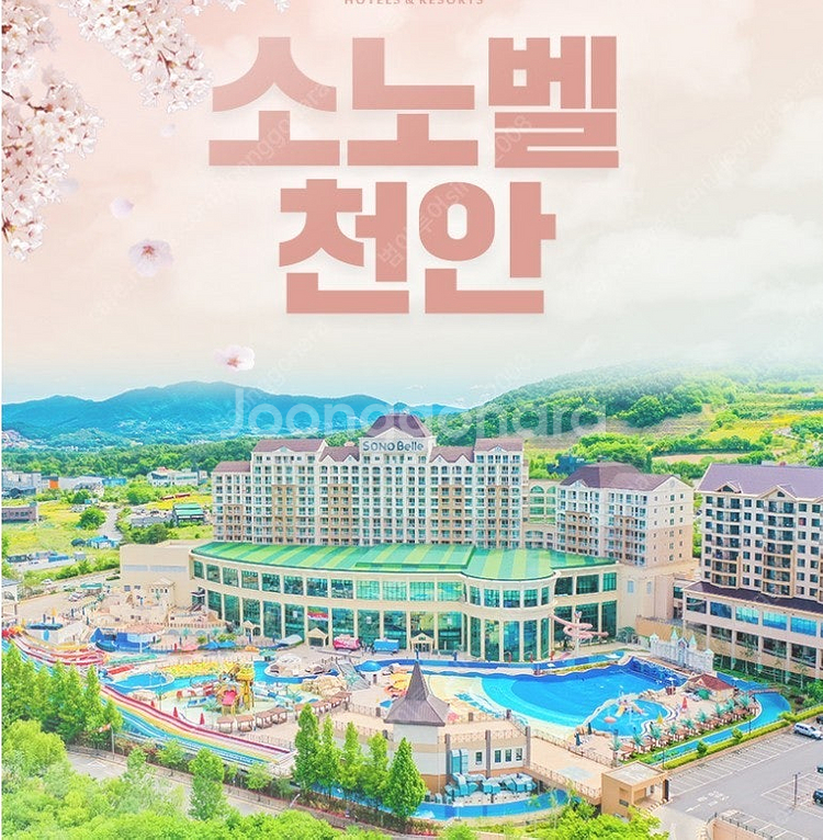 <매진임박>6월 6, 7 소노벨 천안&파나크영덕 풀빌라...--0