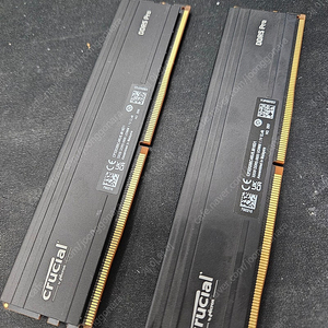 마이크론 Crucial DDR5 5600 CL46 PRO 아스크텍 (32GB*2) 판매합니다.