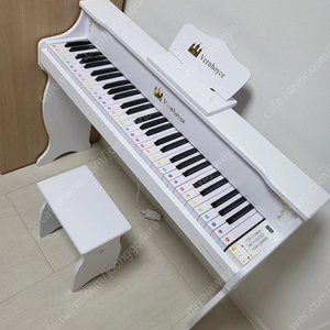 레노피아 Vernhoyce 61건반 유아 피아노