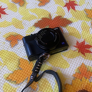 Sony RX100M5a....