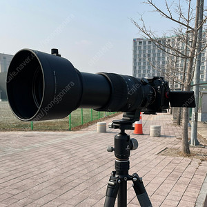 시그마 60-600 렌즈 팝니다.