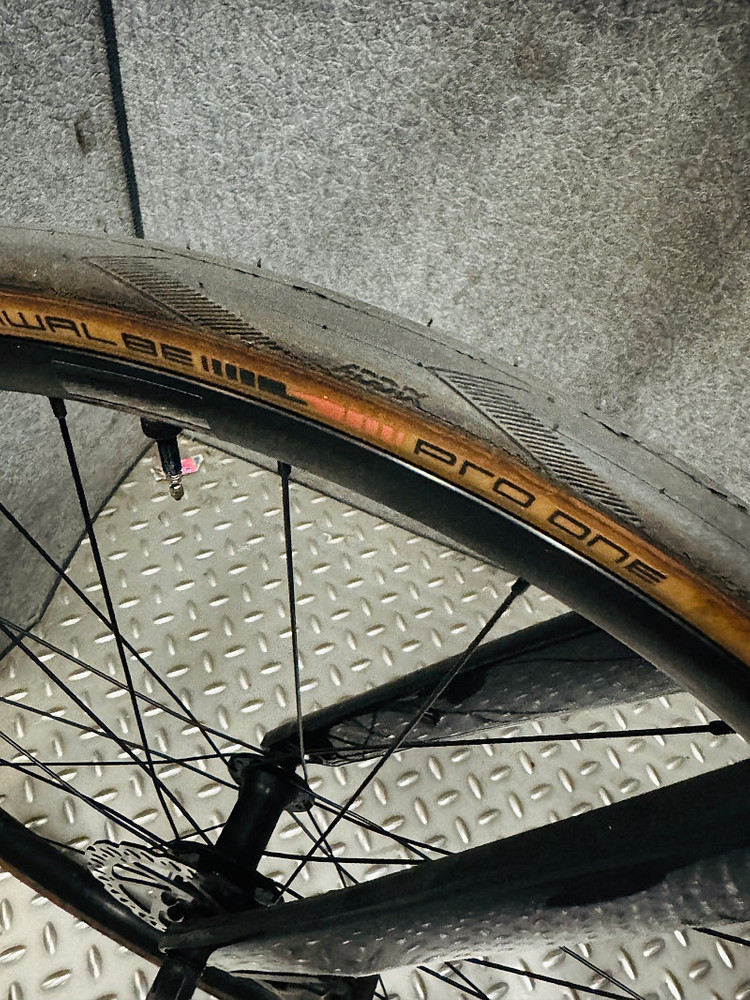 자이언트 패스트로드 어드밴스2 카본하이브리드 ml사이즈--8